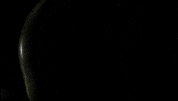 Alien Isolation Aliens GIF by Xbox