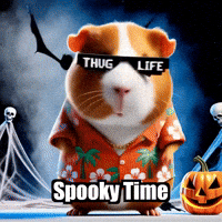 Halloween Pumpkin GIF by Guinea Gambino