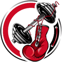 Boxing Sticker by Pittsburgh Punch