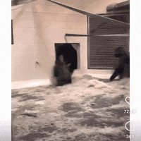 GIF by ReactionClub