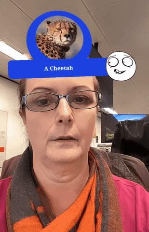 nicolachanscmp giphyupload GIF