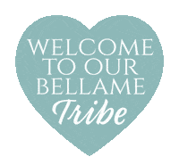 Heart Business Sticker by BELLAME Beauty, Inc.