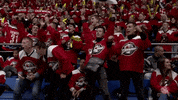 Championsgobeyond Donetsk GIF by Champions Hockey League