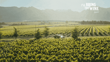 Chicken Feet Cooking Show GIF by Nederburg