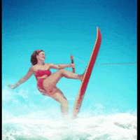 vintage surf GIF by The Videobook