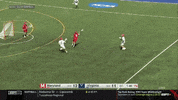 ncaasports ncaa lacrosse virginia lax GIF