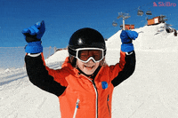 SkiBro skiing skibro GIF