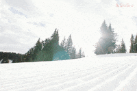 SkiBro skiing skibro GIF