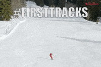 SkiBro skiing skibro GIF