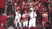 Houston Rockets Lol GIF by NBA