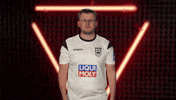 Ssv Ulm Vbl GIF by Bundesliga
