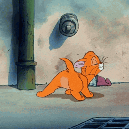 Shake It Cat GIF by Disney