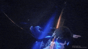 Yangyang GIF
