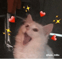 Cat Love Gato Amor GIF