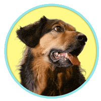 Sticker by Crowdmedia