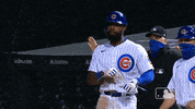 Regular Season Sport GIF by MLB