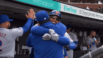 Sport Hug GIF by MLB