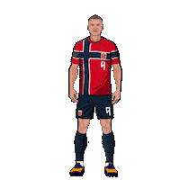 World Cup Football Sticker by Panini America