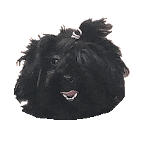 Nori Sticker by NotebookTherapy