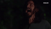 tripping GIF by Kentucky Ayahuasca