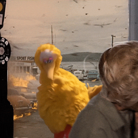 Sesame Street Bird GIF by Bell Brothers
