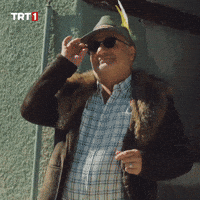 Look Looking GIF by TRT