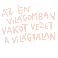 Punnany Massif Dalszoveg Sticker