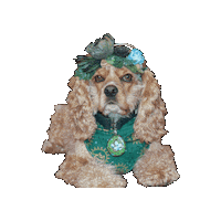 Cocker Spaniel Sticker by Geekster Pets