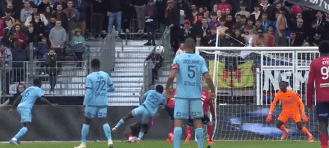 jakubru giphyupload GIF