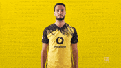Borussia Dortmund Smile GIF by Bundesliga