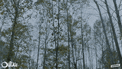 patrick fugit hbo GIF by Outcast