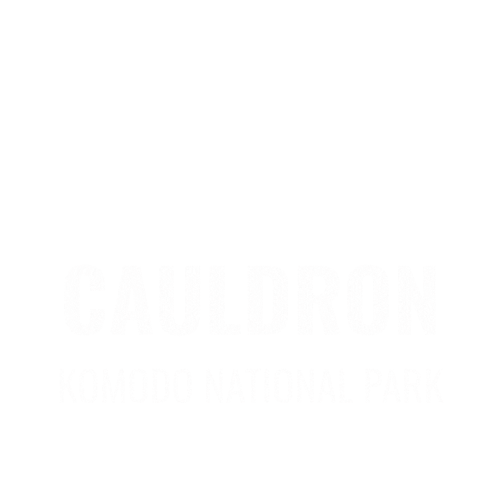 Cauldron Sticker by Dragon Dive Komodo