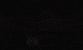 Football Soccer GIF by Albacete Balompie