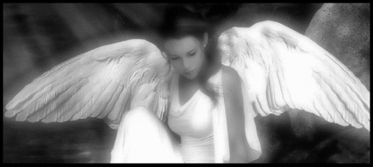 angel GIF
