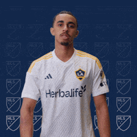 La Galaxy No GIF by Major League Soccer