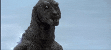 GIF by Funimation