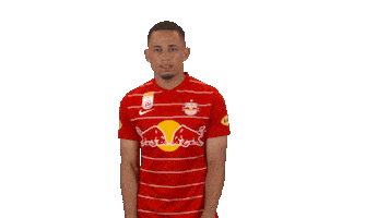 Red Bull Celebration Sticker by FC Red Bull Salzburg