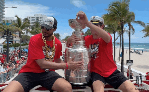 Stanley Cup Playoffs Win GIF by NHL