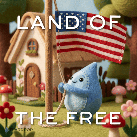 Proud United States GIF by Teardrop