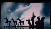 americas got talent holiday spectacular nbc GIF by America's Got Talent