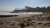 Laguna Beach GIF by Justin