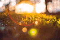 Sunset Sunlight GIF by subtlestrokes