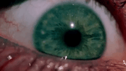 tobe hooper horror GIF