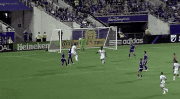GIF by Philadelphia Union