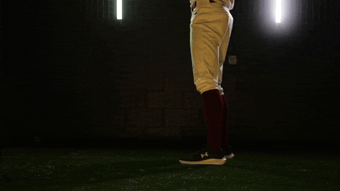 Baseball Juco GIF by Pearl River Athletics