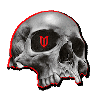 Sticker by _huscarl_
