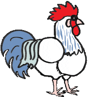 Rooster Hahn Sticker