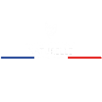 Made In France Sticker by Man's Beard