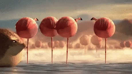 round GIF