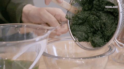 viceland GIF by Bong Appétit